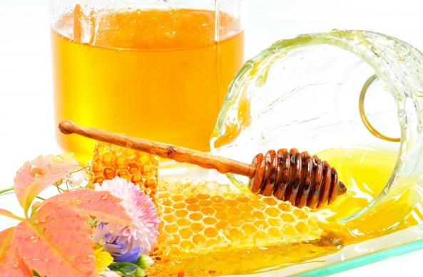 صادرات عسل انگبین ارگانیک به قطر
