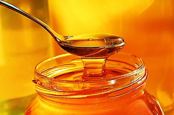 نحوه تولید عسل طبیعی پرورشی در ایران