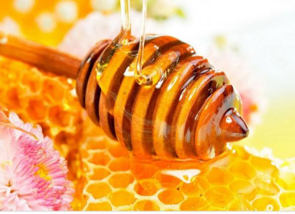 فروش عسل دارویی با کیفیت ضد باکتری در کشور