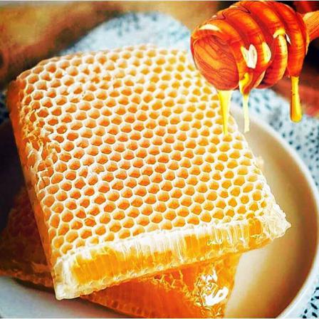 قیمت خرید عسل با موم کیلویی در شیراز